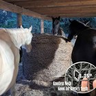 6   6 Ft Large Round Bale Hay Net For Horses Slow Feeder Hay Net For Livestock K