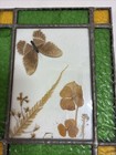 Vtg    79 Leaded Stained Glass Pressed Butterfly Flower Suncatcher 9 75 X 7 75 In 
