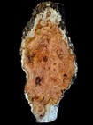 Xl Mind Blowing Curly Birdseye Cherry Cap Turning Wood Stabilizing  Epoxy Wood  