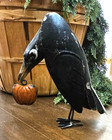 New Primitive Rustic Raven With Pumpkin - Repurposed Metal Halloween Fall 11 h