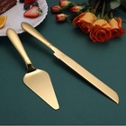 Cake Cutting Set For Wedding  Elegant Cake Knife And Server Set With Thickened