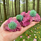 Rare Dandelion Zeolite Cluster Titanium Geode Gemstone Specimens Collection
