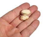 Magic Trick Pistachio Through Cup Illusion - Easy Close Up Street Magic Trick