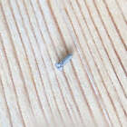 4072 Watch Bezel Case Back Screw For Cartier Santos L 39 8mm Watch Case