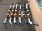 Mounted Steer Horns  4 Feet  To 4 Feet 6  Longhorn Polished Mount Bull Cow