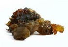 Guggul Gum Guggulu Resin Indian Bdellium Myrrh Commiphora Mukul Raw Incense