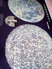 Vintage Large School Wall Map Moon Chart Pull Down Schul Wandkarte Armstrong