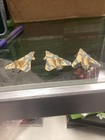 1989 Kenner Mega Force V-rocs Fighter Bombers Die Cast Vehicle