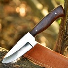 Custom Made Hunting Knife Wood Handle High Carbon Steel Sharp Blade Knife Edc