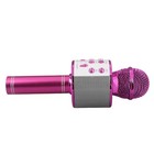 Professional Bt Wireless Microphone Karaoke Speaker Ktv Music Player Singin Omln