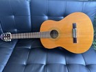 Jazmine By Takamine Acoustic Guitar