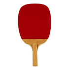 Nakama P-1 Penhold Racket  jp 