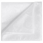 Mens Paisley Pocket Square Hanky White