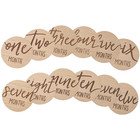 Baby Monthly Milestone Marker Discs - Classic Cursive Script Wooden Discs With R