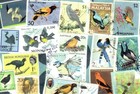 5 Original Postcards For Postcrossers World Wide Vintage Bird Stamps Collage