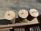  Handmade Carpenter Bee Trap   Outdoor Bee Control   Veteran Owned   