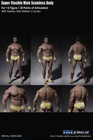 Tbleague Phicen M34 1 6 Scale Steel Skeleton Male Seamless Muscular Body    usa   