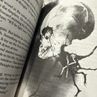 Scary Stories To Tell In The Dark  Book Set 1 2 3 By Alvin Schwartz