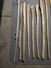 4ft-6ft Saguaro Cactus Skeleton Ribs Western Desert Art Decor Ooak