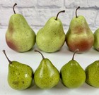 Lot Of 23 Realistic Faux Pears Home Kichen Decor Life Size Artificial Fake Fruit