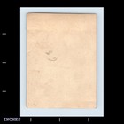 Old Vintage Photo Woman Standing By Palm Tree