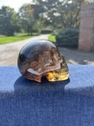 2 54lb Brazilian Smoky Quartz Crystal Skull Hand Carved Collector