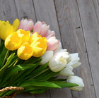 Real Touch Artificial Tulips Bridal Home Wedding Party Festival Decor Usa-10 Pcs