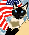 Patriotic Siamese Cat Shirt For Women And Men  s  M  L  Xl  Xxl  New 