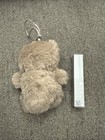 Rem Beauty Eternal Sunshine Teddy Bear With    cosmo    Glossy Balm