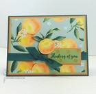 Stampin Up  Whole Lot Of Lovely  24  6 X 6 Sheets Designer Series Paper Dsp New