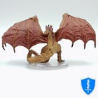 Wyvern - Adventures In Faerun  41 D d Icons Of The Realms
