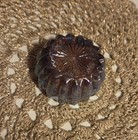 Amethyst  Opalescent Open Salt