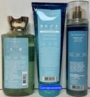 Bath   Body Works Saltwater Breeze Body Wash Body Cream Fragrance Mist Gift Set