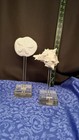 Two Vintage Mid Century Mcm Shell On Lucite Stand