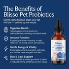 Blisso Advanced Cat Probiotic Drops     Digestive Support For Cats With Diarrhea  