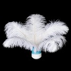20 Pcs Natural White Natural Ostrich Feathers Plumes 8-10 Inch20-25 Cm Bulk F   