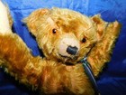15    Adorable Antique 1930s  Golden  Jointed Mohair Teddy Bear