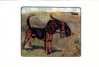 1906 Antique Bloodhound Print Stokes Bloodhound Dog Art Illustration 6444f