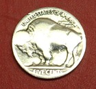 Hobo Buffalo Nickel Skulls Real Us Nickel