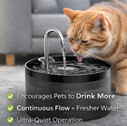 Cat Water Fountain  Dog Bowl Fountains - Automatic Pet Dispenser Usa Stock  