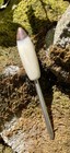 Single Prong Divot Tool - Stainless Steel - Whitetail Deer- - Golf - Putting
