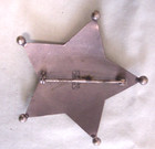 C1910 Obsolete Constable Badge   Chicago   Apprehension Of Horse   Auto Thieves