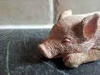 Sandicast Hand Cast And Hand Painted Sleeping Pig  Lovely Condition