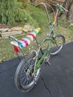 Schwinn Sting Ray 5 Speed Campus Green 1970 Survivor Life Saver Persons Usa Org 