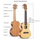 Initer Iuc-102 23 Inch Ukulele Soprano Acoustic Guitar Music Instrument With Bag