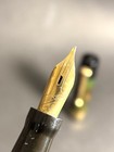 Wahl Eversharp Brazilian Green Lever Filler Flexy Nib - Restored  bfp636 