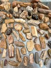 Spectacular  156 Pc-22  Huge Lot petrified Fossil Wood outstanding Detailed Lot
