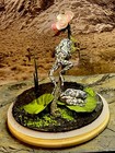Taxidermy Mount Pair Of Grey Tree Frogs Related Reptile Lizard Turtle Exotic