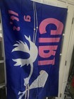  it s A Girl   Flag 3 x5  Gender Reveal Birth Announcement Baby Shower New