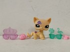 Littlest Pet Shop Toys Lps Short Hair Cat  1962 W 4pcs Accessories For Kid